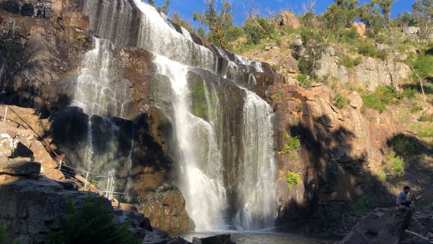 A tourist has gone missing in the water at MacKenzie Falls in the Grampians National Park.