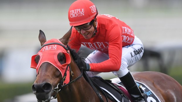 Red alert: Redzel is heading to the Darley Classic after winning The Everest at Randwick on Saturday