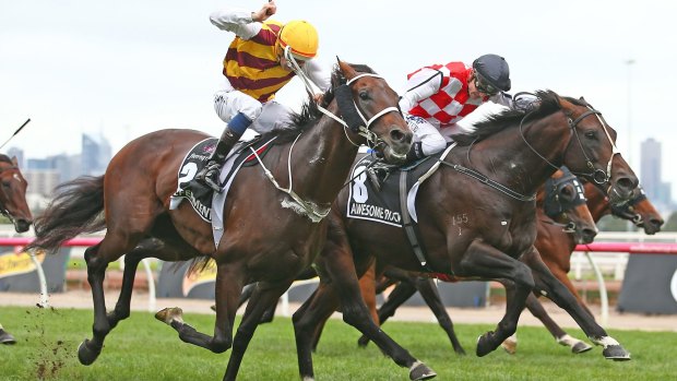 Close finish: Awesome Rock wins the Australian Cup at Flemington ahead of Preferment but lost after a protest.