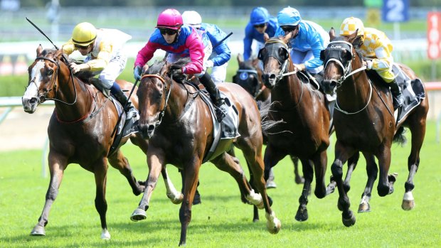 On sale: Man From Uncle bursts away in the Eskimo Prince Stakes at Randwick.