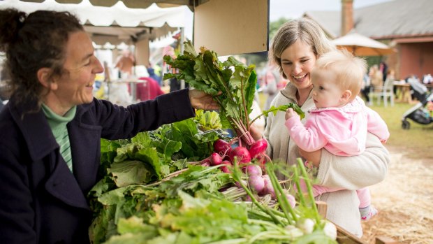 Browse produce or learn how to reduce kitchen waste at Autumn Harvest.  