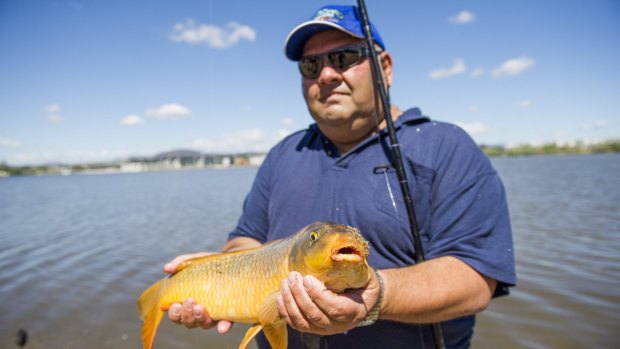 Charlie Diedo has caught and released hundreds of carp in Lake Burley Griffin.
