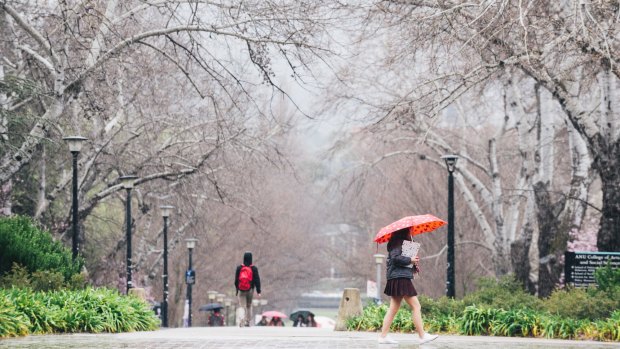 Pedestrians with umbrellas at the ANU avoiding the rain on Friday, when The Bureau of Meteorology estimated between 40 and 60 millimetres would fall in Canberra.