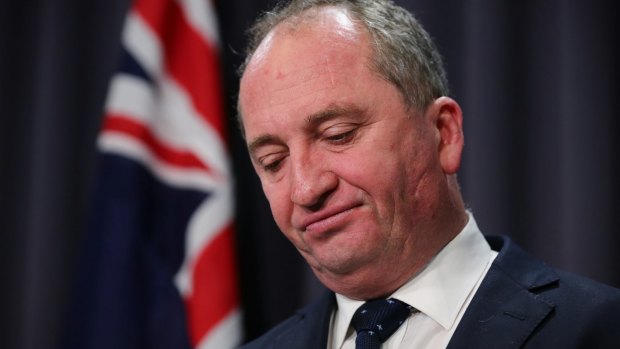 Deputy Prime Minister Barnaby Joyce addresses the media at Parliament House on Wednesday.