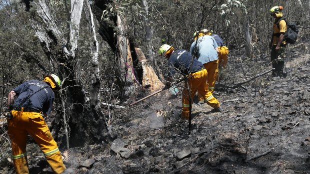 ACT Rural Fire Service and ACT Parks & Wildlife firefighters prepare a fire break at Mount Clear with hand tools on Sunday.