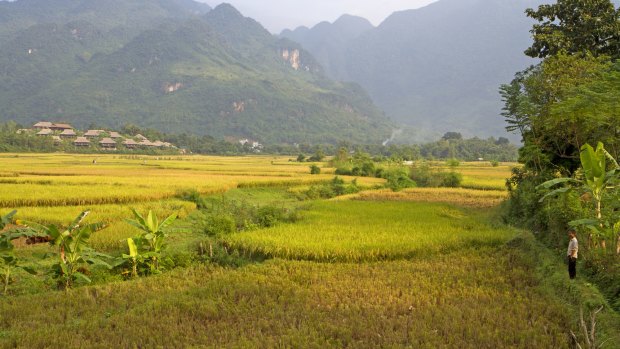 Rice fields and a village near Mai Chau.