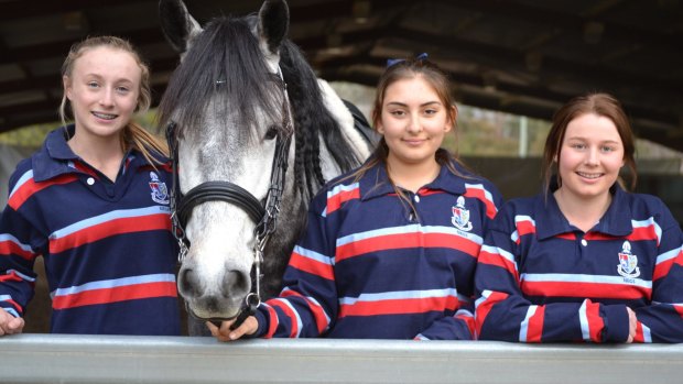 NEGS students (from left) Matilda McCarroll, Anika Clarke-D'Aprile and Ashleigh Lowe with the Andalusian Chico.