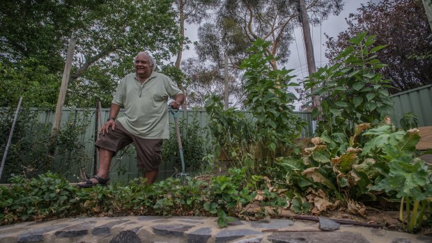 Tom Calma started gardening at a young age.