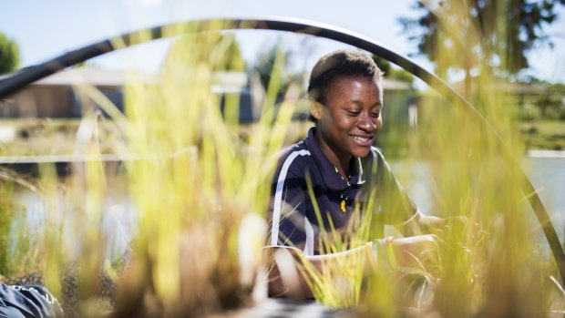 Test: Student Fatima Sesay helps plant out the mini wetland.
