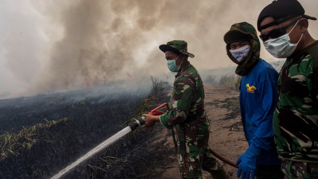 Indonesian soldiers extinguish the fire on burned peatland and fields in Palembang earlier this month.