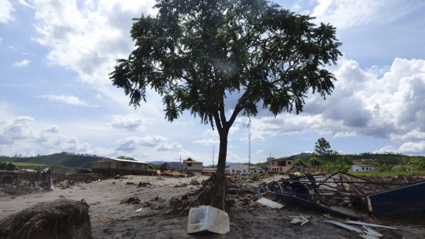 A washing machine that landed in front of a tree after  BHP-Vale's Samarco dam failure in Brazil. 
