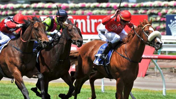 Set for Sydney: Dothraki will tackle the Civic Stakes at Rosehill.