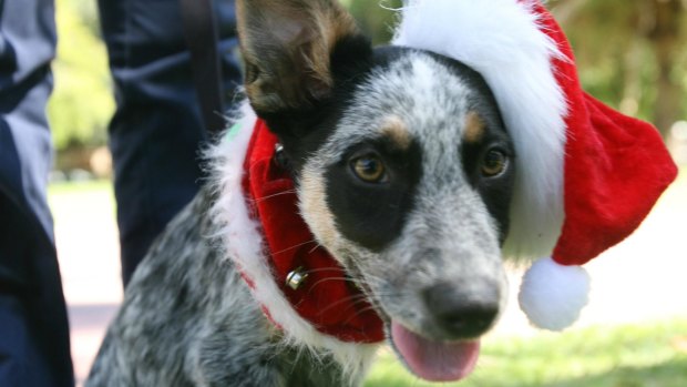 Banned: Santa hats are not allowed in public in Brunei.