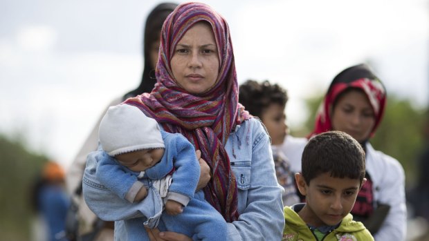 Migrants cross into Hungary from countries such as Syria.