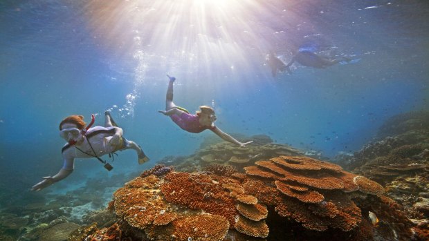 Highlighting natural beauty such as the Great Barrier Reef will be a key focus of the plan.