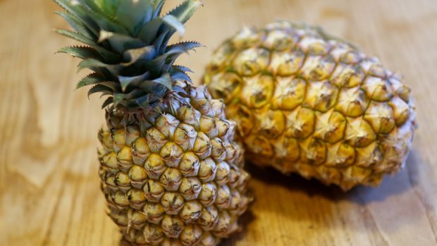 Enzymes found in pineapple stems and roots could prove key to developing alternatives to antibiotics.