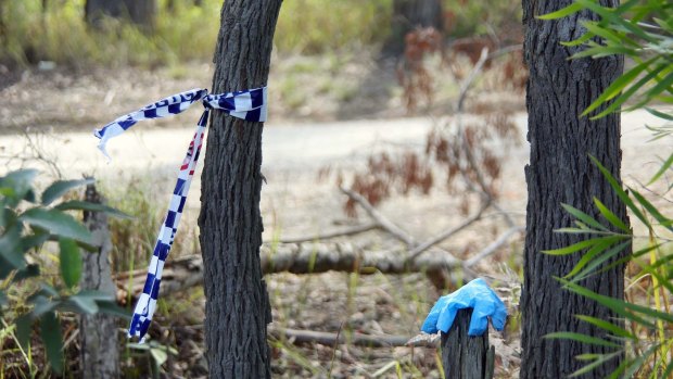 The bushland where the body of Michelle Reynolds was dumped.