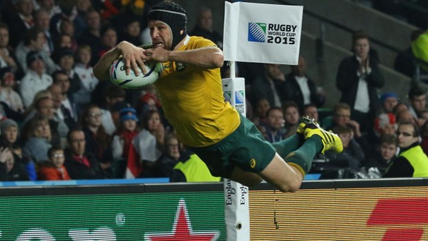 Injury cloud: Wallabies centre Matt Giteau is hoping to be fit to play against Wales.