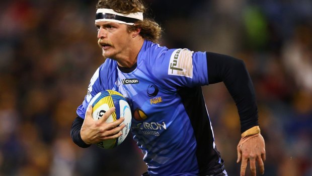 Badger boy: Nick Cummins playing for the Western Force.