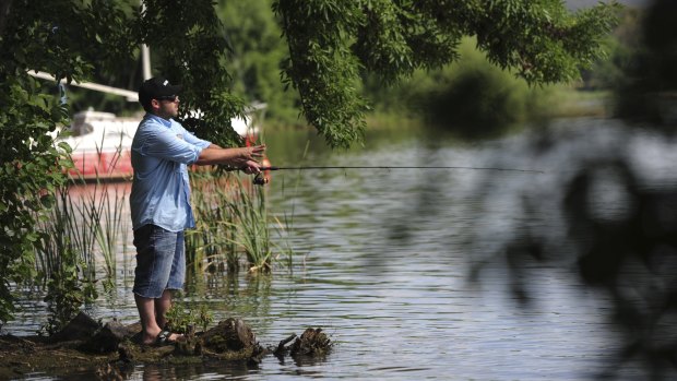Adam Samios fishing in Lake Burly Griffin.