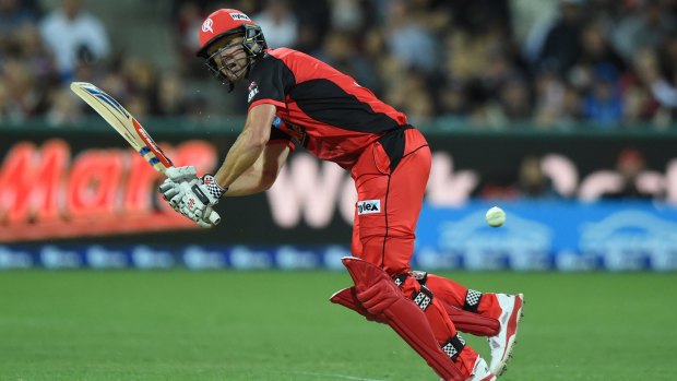 Cameron White has been in fine touch for the Renegades in the BBL.
