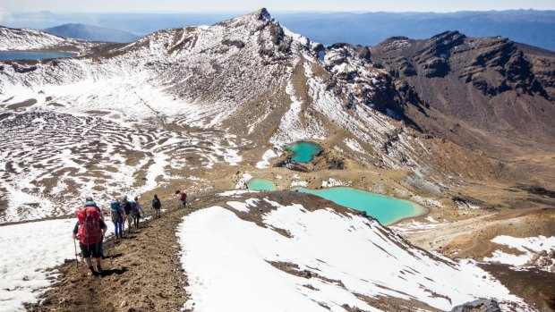 Tongariro Alpine Crossing: Almost universally described as New Zealand's best day walk, the Alpine Crossing is paradoxically colourful and bleak as it threads between the volcanoes of Tongariro National Park. 