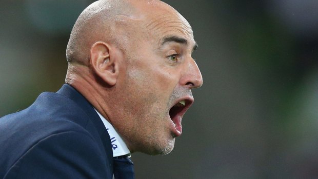 An animated Kevin Muscat urges his team on.
