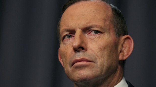 Tony Abbott the backbencher has re-entered the political discourse while flagging a predisposition to remain in Parliament.