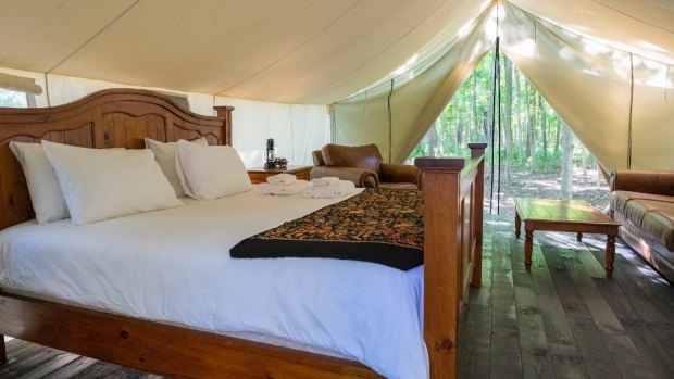 Luxurious furniture in a glamping tent in the woods.