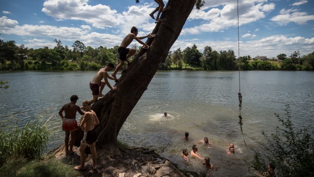 Kids swim in the Nepean River at Penrith as the temperature hits over 40 in the west.