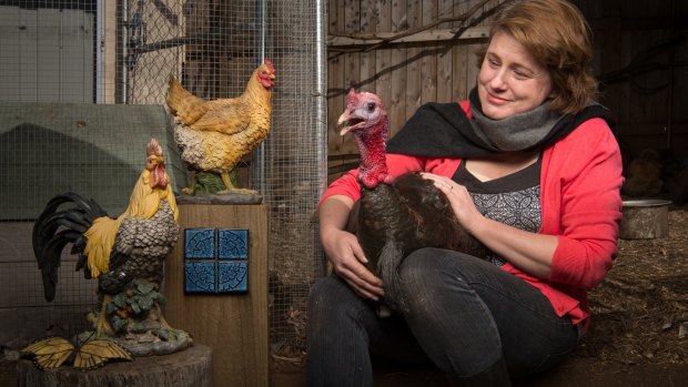 "I'd never kept chickens before. In fact, I'd barely kept a house plant before": Belinda Heath, with Boris the shy, neurotic turkey. 
