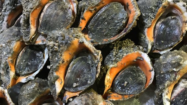 Sea snails allegedly smuggled from North Korea are sold in seafood market in Dandong, China.