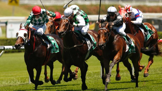 Fine form: Victorem wins the Highway Handicap on Villiers Stakes Day at Randwick.