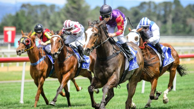 Canberra Racing Club will introduce the $50,000 Federal to replace Highway Handicaps. 
