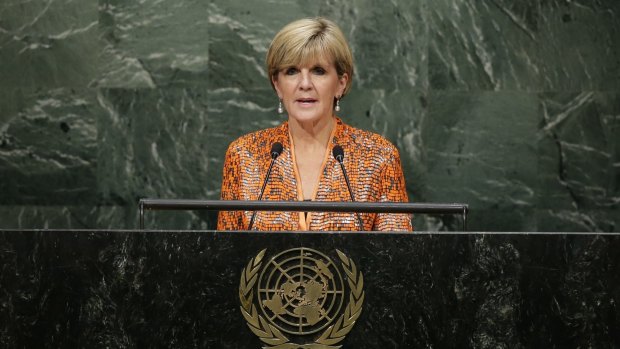 Foreign Affairs Minister Julie Bishop is reported to be holding discussions about the planned naval patrols.