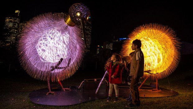 An illuminated kiwi and her chick in the Royal Botanic Garden for Vivid Sydney 2017.