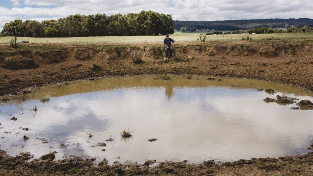 Prior to good rain at the end of February, the farm dams on Ian Cargill's Braidwood property were completely dry.