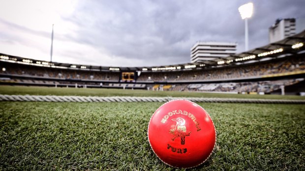 The controversial pink cricket ball may be used at Manuka Oval for the PM's XI match. 