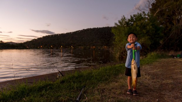 Zachary Zhao, 4, fishing on Lake Burley Griffin. The fishing community hopes the carp virus to be released next year will not negatively affect other wildlife and native species.