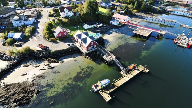 The picturesque town of Tofino. 