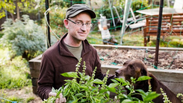 Evan Turnbull with basil in his garden.