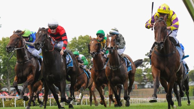 Damien Oliver guides Rocky Boomboa (right) home ahead of Mark Zahra on Love Days (second from left) at Moonee Valley on Saturday.