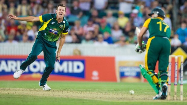 Picking up where he left off: Test hopeful Josh Hazlewood appeals during the win over South Africa in Canberra.