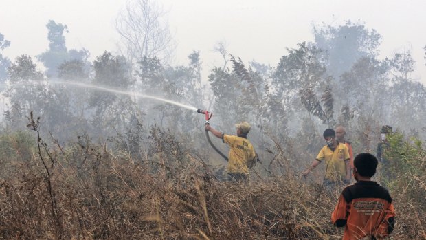 Indonesian firefighters work on a field in Timbangan, South Sumatra, at the weekend.