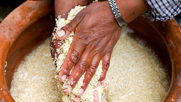 A Bolivian farmer prepares quinoa.
