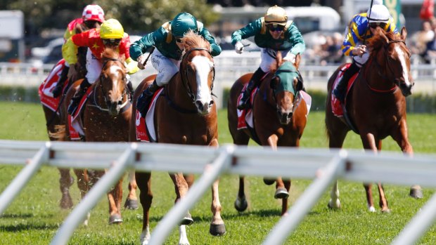 Slipper dreaming: Khan raced away with the Breeders Plate at his only start last year.