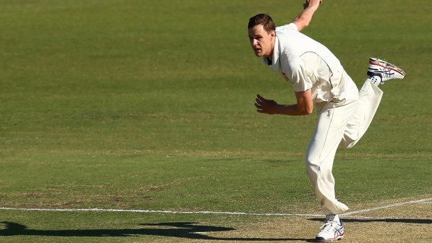 The Perth Scorchers have replaced injured Canberra quick Jason Behrendorff in their squad.