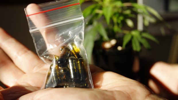 Medicinal cannabis is being legalised in various parts of Australia.
