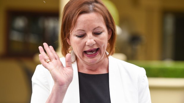 Sussan Ley announces her resignation last month after her travel expenses sparked a scandal.