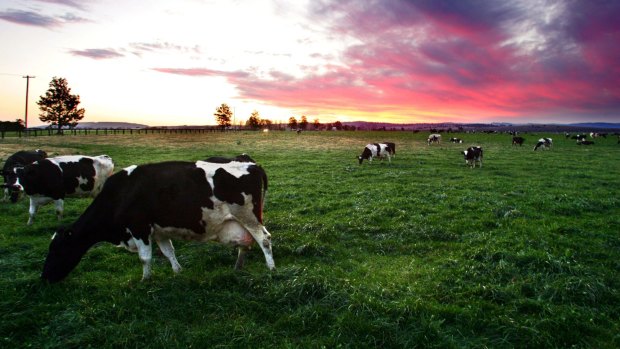 The dairy sector is looking attractive thanks to the China free trade agreement.